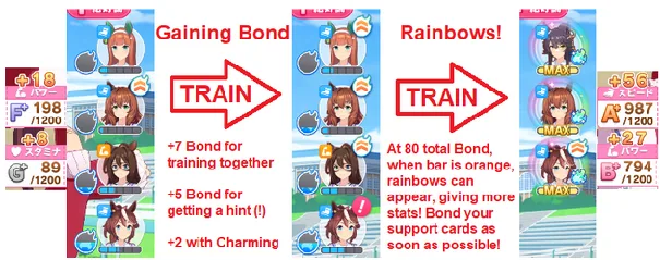 Basic Training Strategy example